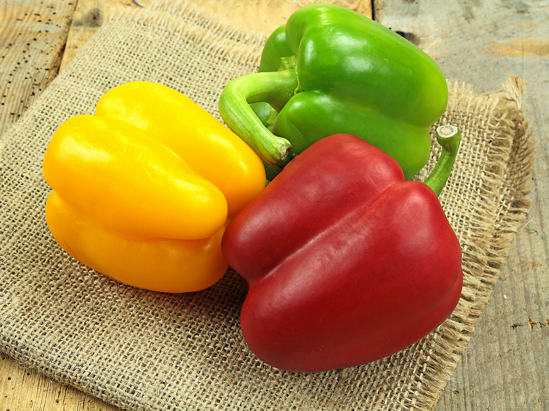 Cameron Highlands Tri Colour Capsicum Bell Peppers 金马伦高原灯笼椒