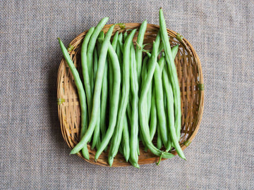Cameron Highlands French Beans 金马伦高原四季豆