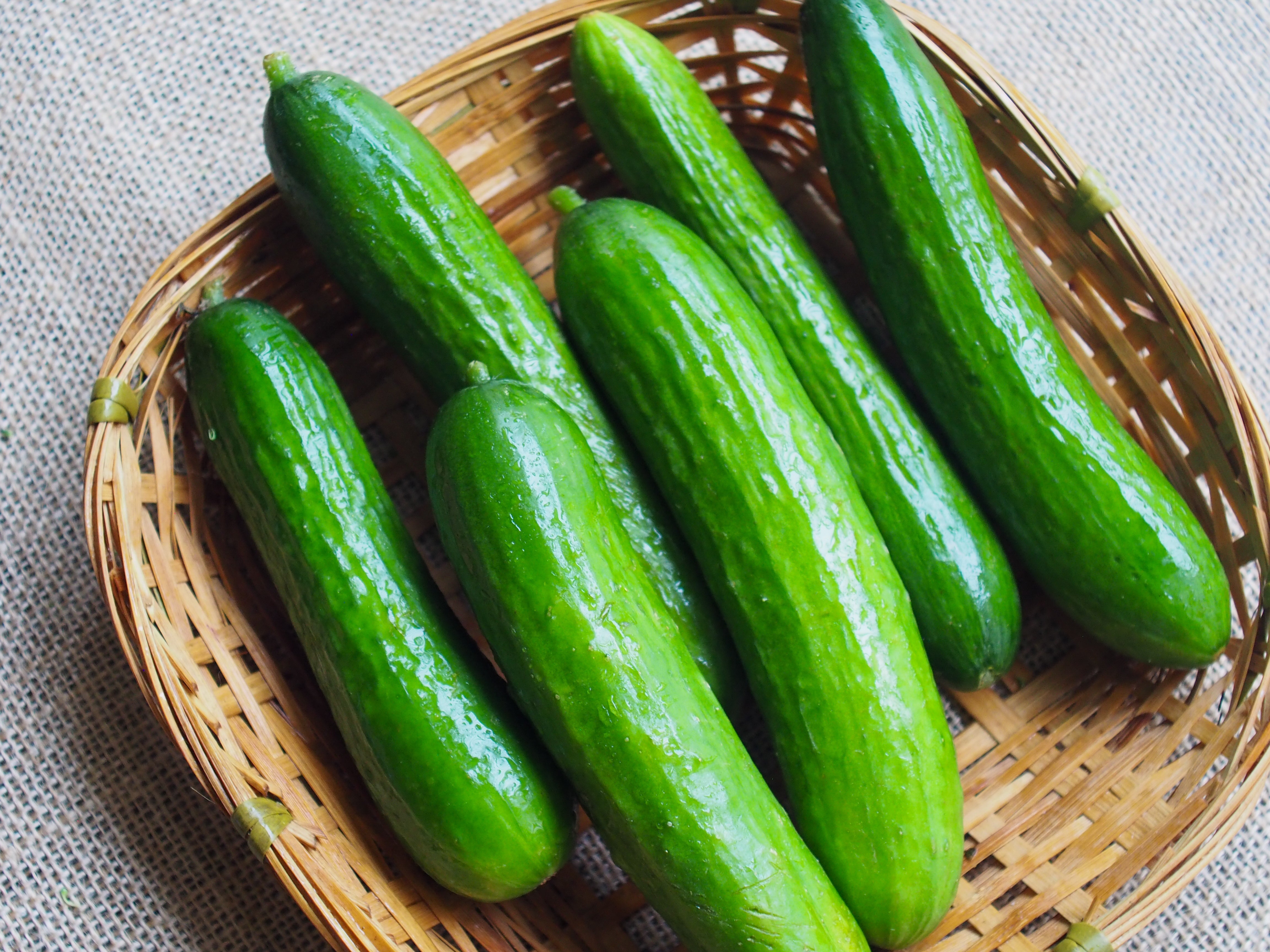 Japanese Cucumber 日本小黄瓜