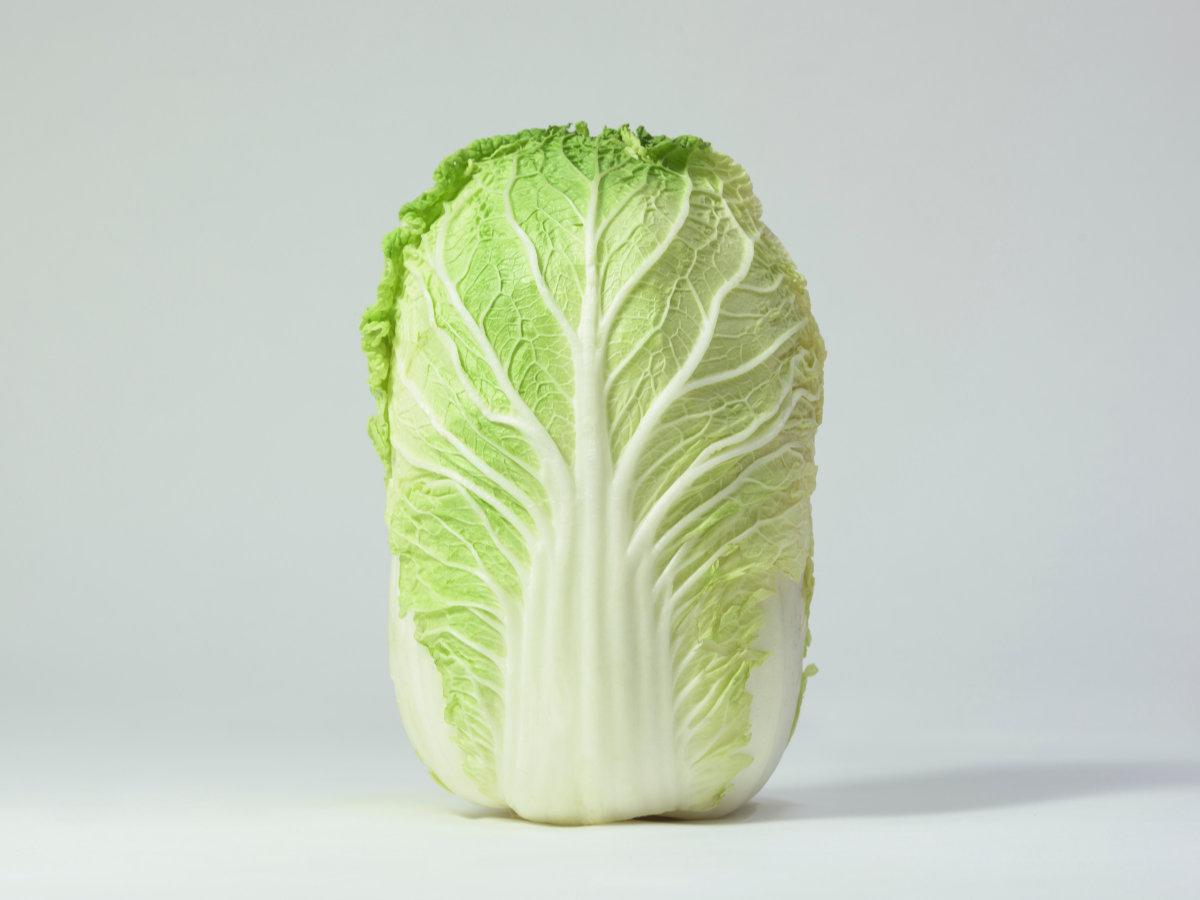 Napa Cabbage 大白菜