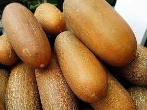 Cameron Highlands Old Cucumber 金马伦高原老黄瓜