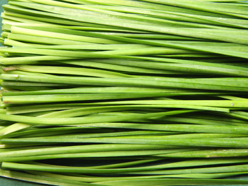 Cameron Highlands Qing Long Cai 金马伦高原青龙菜