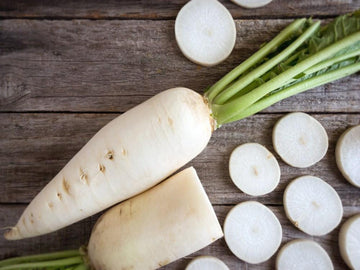 Chinese Radish (Daikon) 白萝卜