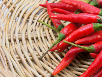Thailand Chili Padi 泰国小辣椒