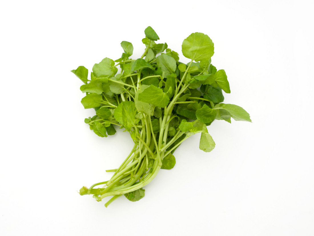 Cameron Highlands Watercress 金马伦高原呢西洋菜